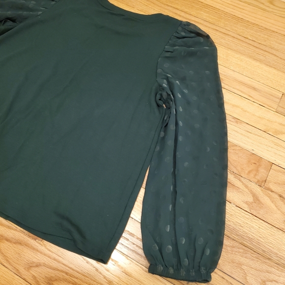 Loft Forest Green Sheer Sleeve Top - Picture 7 of 7